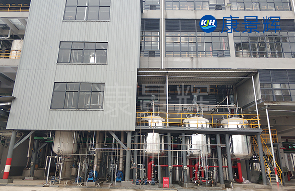 4.2t/h硫酸銨廢液焚燒前蒸發(fā)預處理